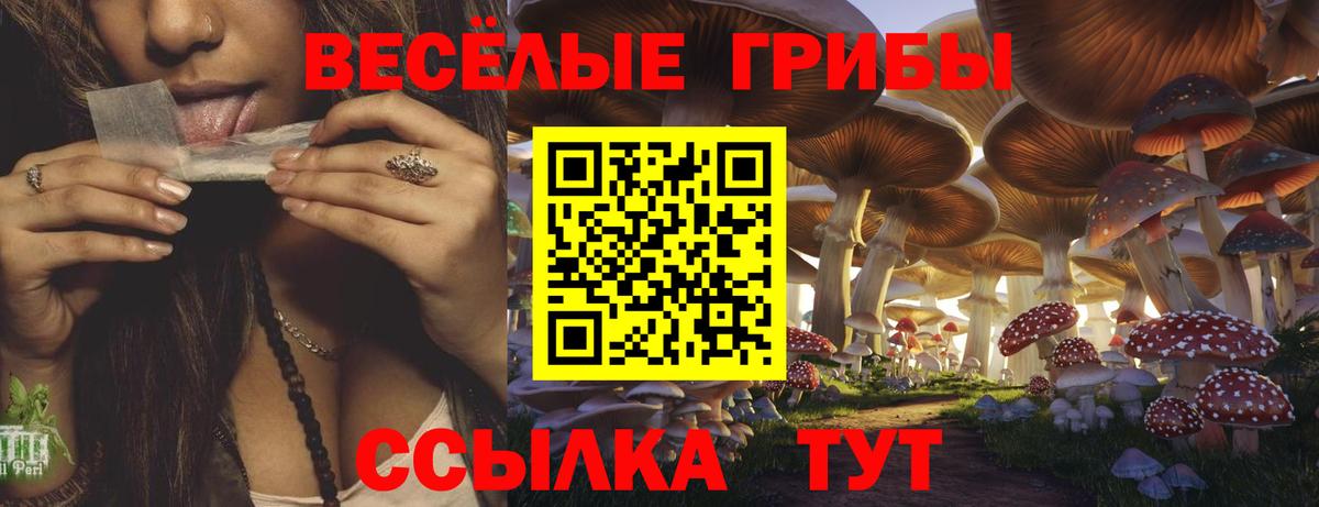Псилоцибиновые грибы мухоморы Железноводск